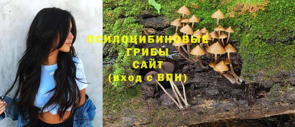 a pvp Богданович