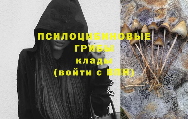 ALPHA-PVP Бугульма