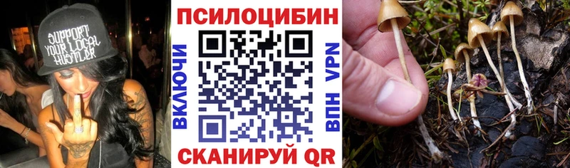 Псилоцибиновые грибы прущие грибы  Купить закладки  Николаевск 