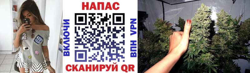 Купить Николаевск Канабис MAZAR